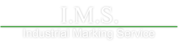 logo IMS